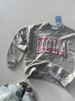 دورس UCLA کد 200815 - تصویر 6