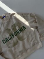 دورس CALIFORNIA کد 201139 - تصویر 7